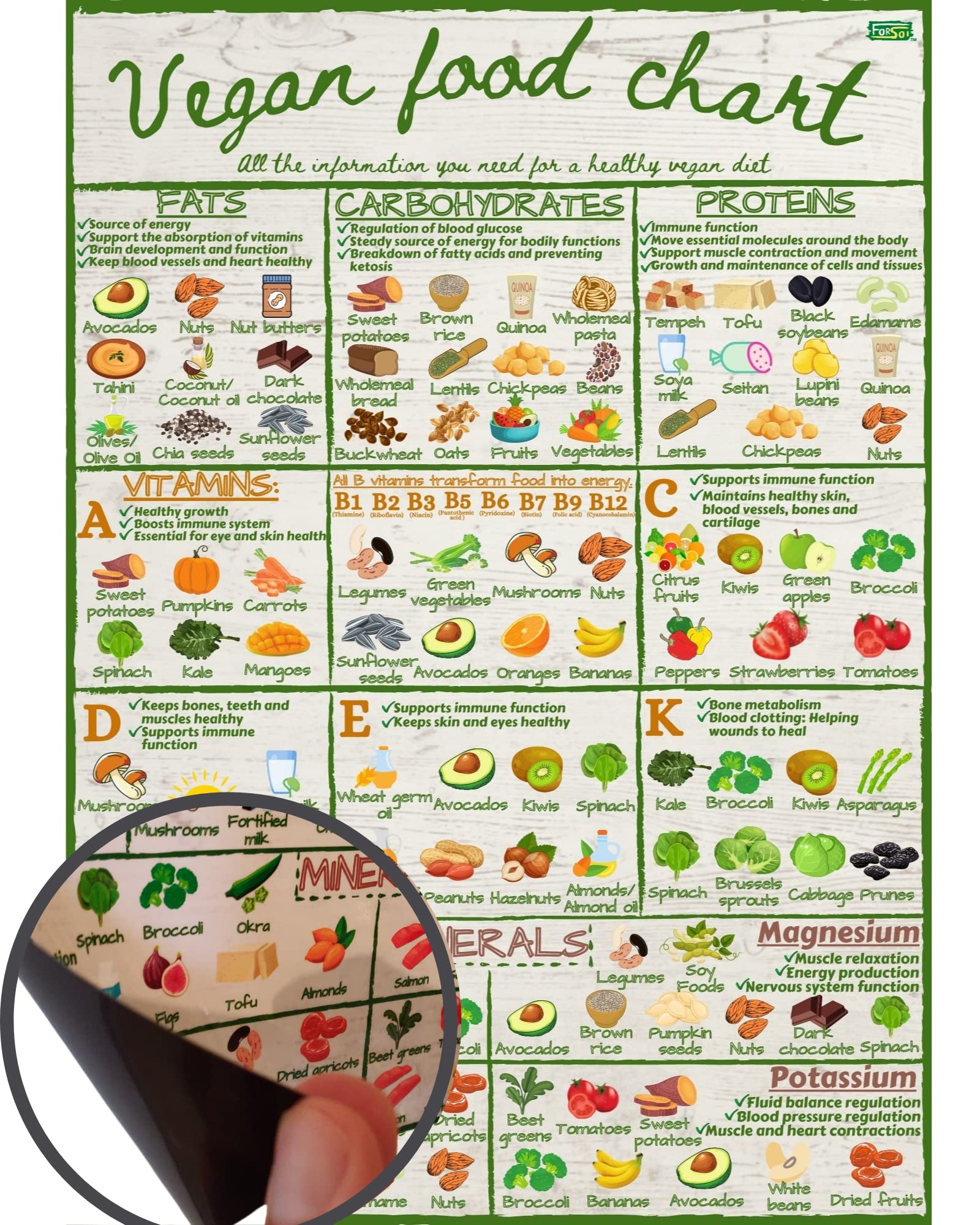 Vegan Healthy Food Chart Guide Vegan Ration