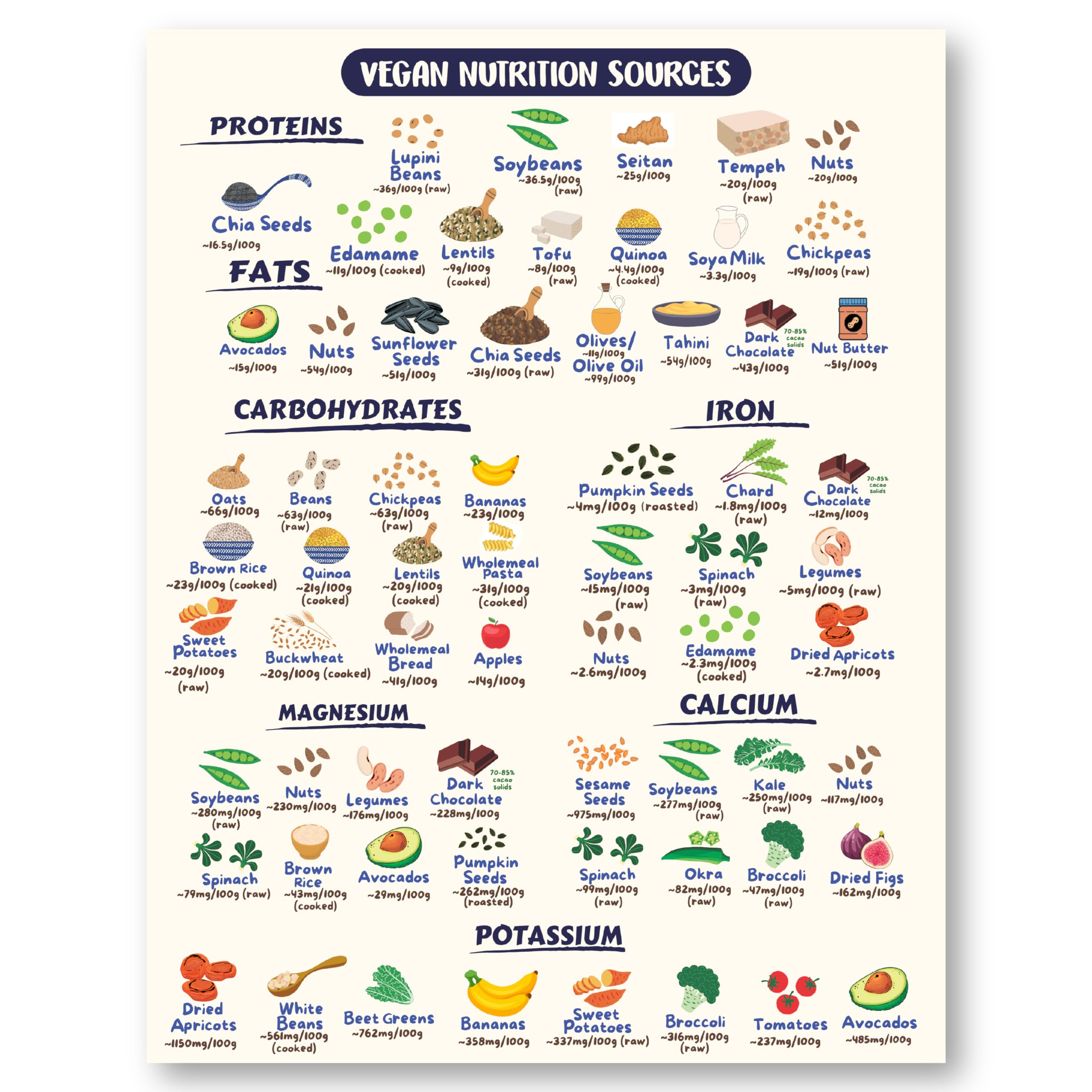 Vegan Health Foods Chart Fridge Magnet